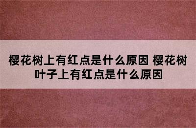 樱花树上有红点是什么原因 樱花树叶子上有红点是什么原因